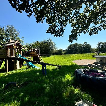 Hof Vierzehnender Im Hohen Venn - 70Qm Fachwerk-Studio - Grosses Wohn-Schlafzimmer Mit Dachterrasse Und Kaminofen - Separate Kueche - Perfekt Fuer Paare - Monschau - Eifel - Hunde Willkommen - Islandpferde 외부 사진