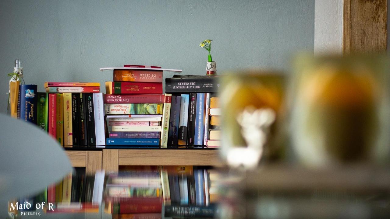 Hof Vierzehnender Im Hohen Venn - 70Qm Fachwerk-Studio - Grosses Wohn-Schlafzimmer Mit Dachterrasse Und Kaminofen - Separate Kueche - Perfekt Fuer Paare - Monschau - Eifel - Hunde Willkommen - Islandpferde 외부 사진