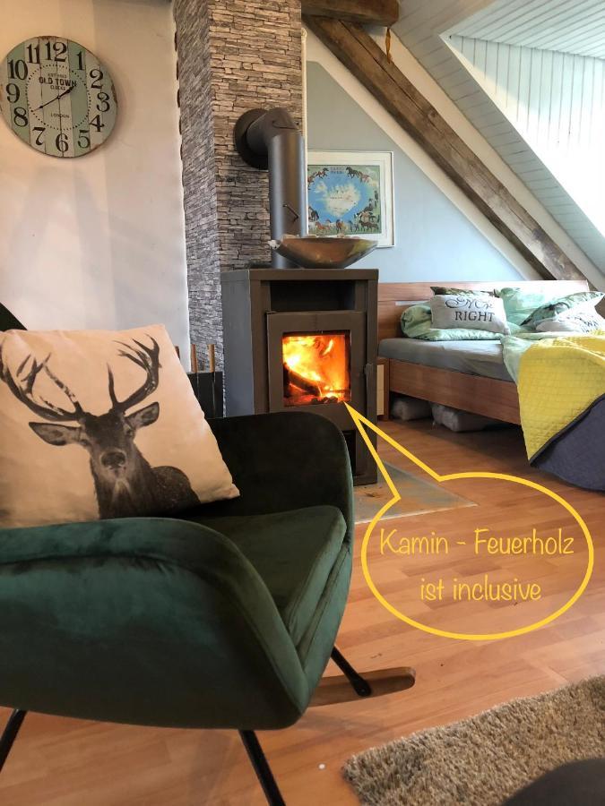 Hof Vierzehnender Im Hohen Venn - 70Qm Fachwerk-Studio - Grosses Wohn-Schlafzimmer Mit Dachterrasse Und Kaminofen - Separate Kueche - Perfekt Fuer Paare - Monschau - Eifel - Hunde Willkommen - Islandpferde 외부 사진