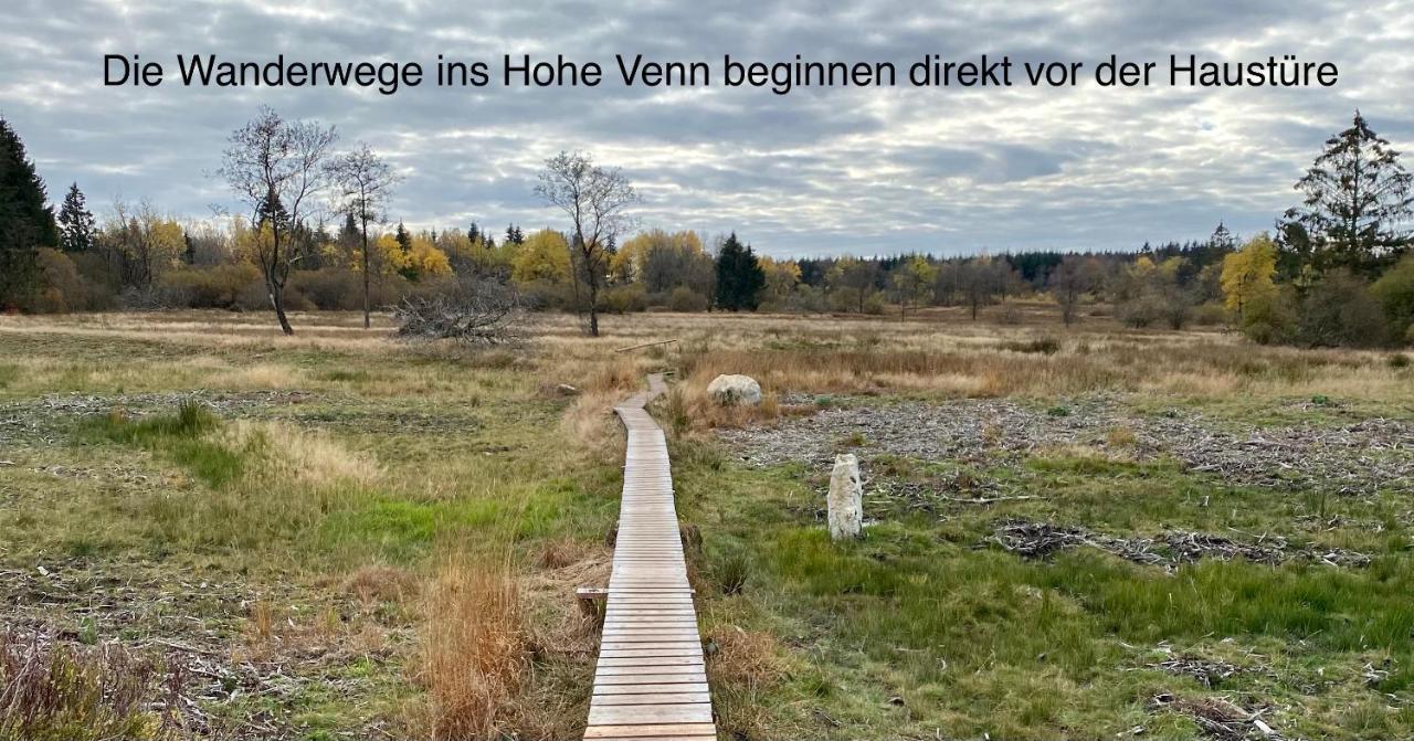 Hof Vierzehnender Im Hohen Venn - 70Qm Fachwerk-Studio - Grosses Wohn-Schlafzimmer Mit Dachterrasse Und Kaminofen - Separate Kueche - Perfekt Fuer Paare - Monschau - Eifel - Hunde Willkommen - Islandpferde 외부 사진