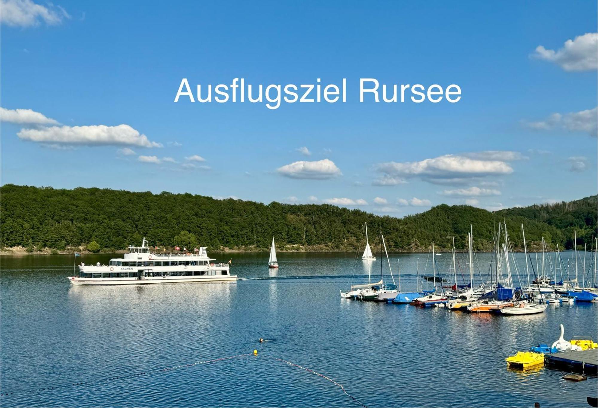 Hof Vierzehnender Im Hohen Venn - 70Qm Fachwerk-Studio - Grosses Wohn-Schlafzimmer Mit Dachterrasse Und Kaminofen - Separate Kueche - Perfekt Fuer Paare - Monschau - Eifel - Hunde Willkommen - Islandpferde 외부 사진