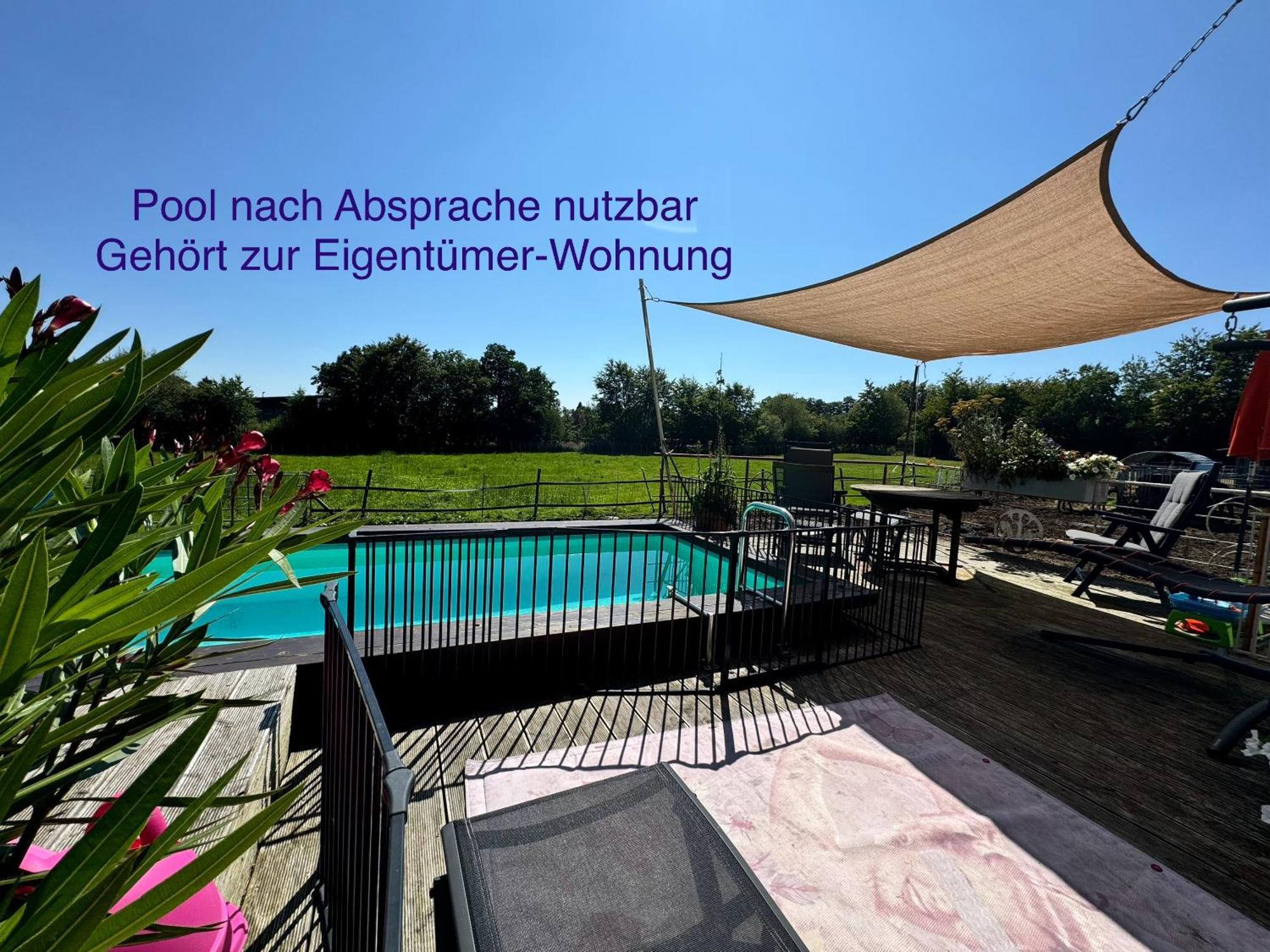 Hof Vierzehnender Im Hohen Venn - 70Qm Fachwerk-Studio - Grosses Wohn-Schlafzimmer Mit Dachterrasse Und Kaminofen - Separate Kueche - Perfekt Fuer Paare - Monschau - Eifel - Hunde Willkommen - Islandpferde 외부 사진