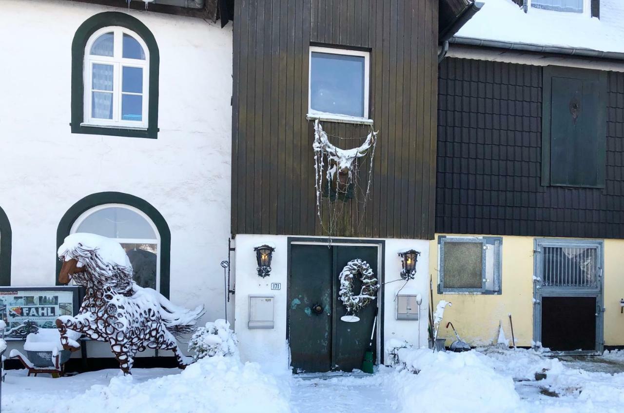 Hof Vierzehnender Im Hohen Venn - 70Qm Fachwerk-Studio - Grosses Wohn-Schlafzimmer Mit Dachterrasse Und Kaminofen - Separate Kueche - Perfekt Fuer Paare - Monschau - Eifel - Hunde Willkommen - Islandpferde 외부 사진