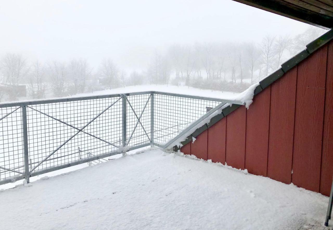 Hof Vierzehnender Im Hohen Venn - 70Qm Fachwerk-Studio - Grosses Wohn-Schlafzimmer Mit Dachterrasse Und Kaminofen - Separate Kueche - Perfekt Fuer Paare - Monschau - Eifel - Hunde Willkommen - Islandpferde 외부 사진